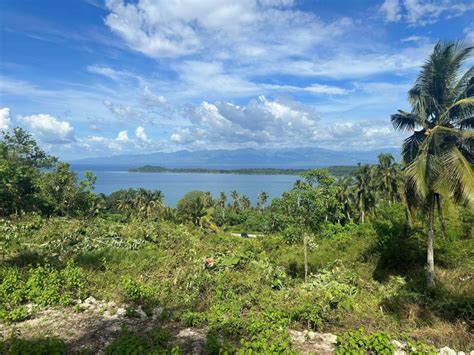 samal island|samal island property for sale.